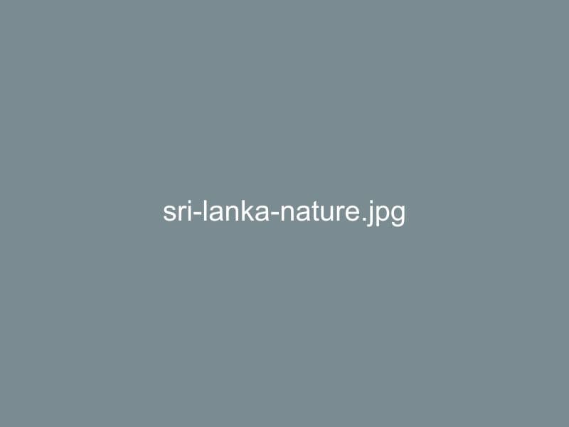 Sri Lanka nature